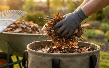 Yard Cleanup And Debris Removal Services Mount Vernon