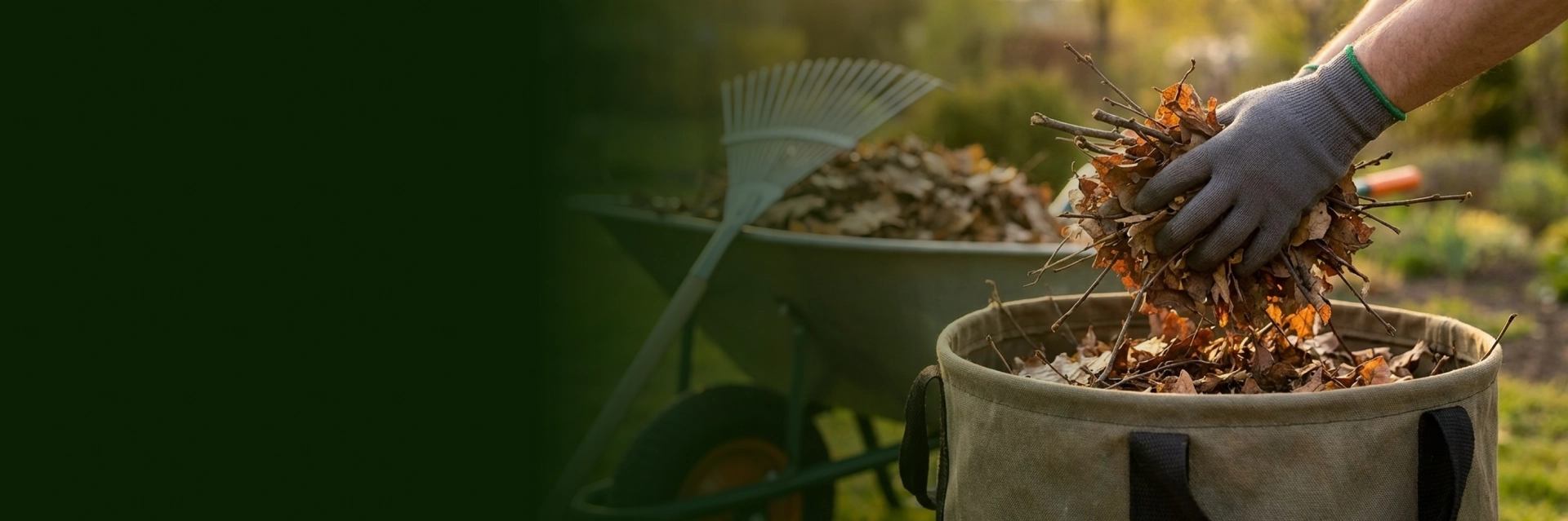 Yard Cleanup And Debris Removal Services Mount Vernon
