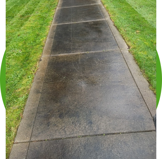 Driveway and Walkway Cleaning That Improves Safety