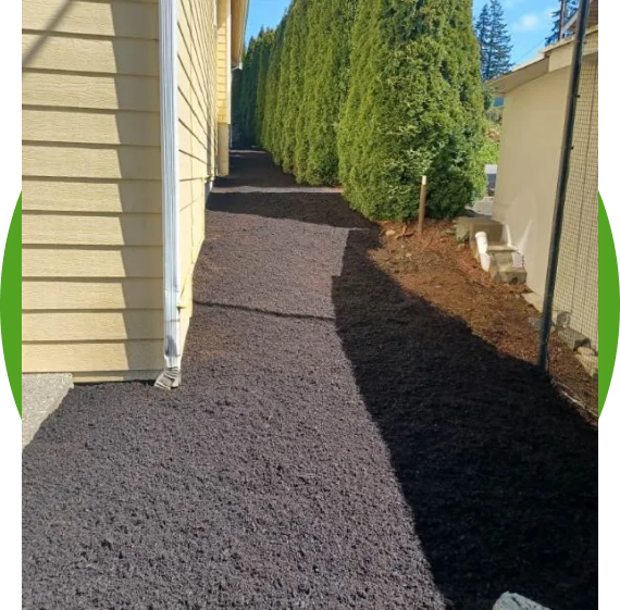 Seasonal Mulch and Bark Maintenance That Keeps Beds Fresh