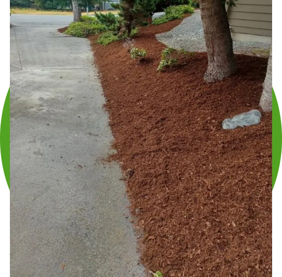 Lawn Care Services in Mount Vernon