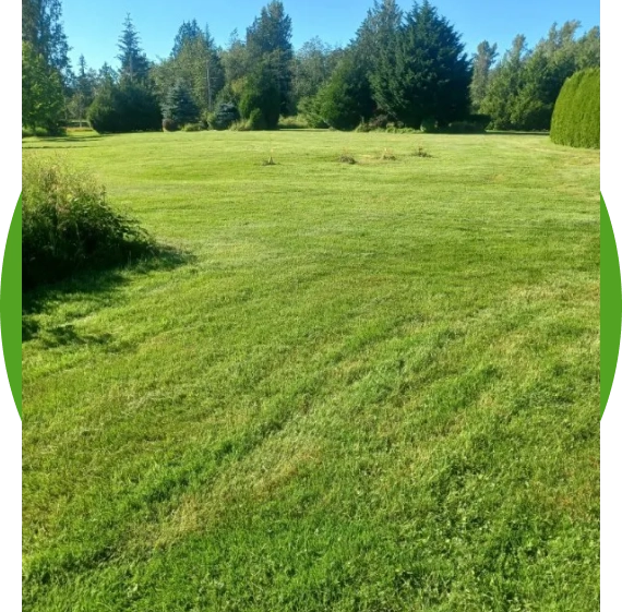 Lawn Care Services Camano Island