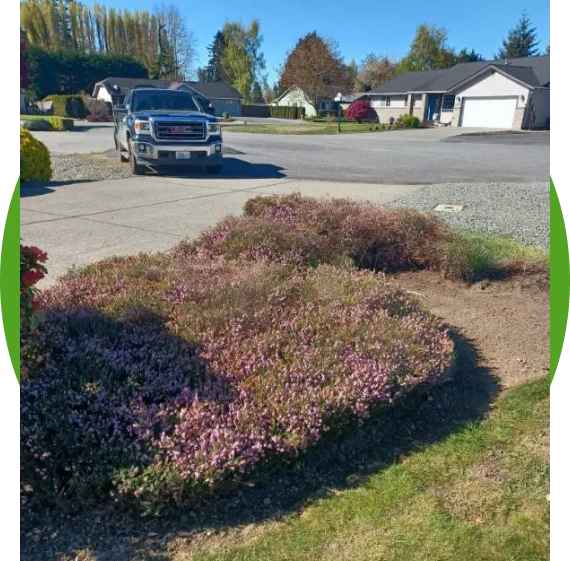 Lawn Care Services in Burlington