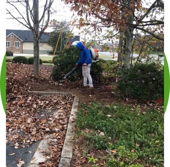 Lawn Care Services in Stanwood