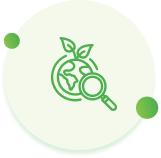 Environmental Services