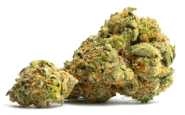 THCa Cannabis Flower