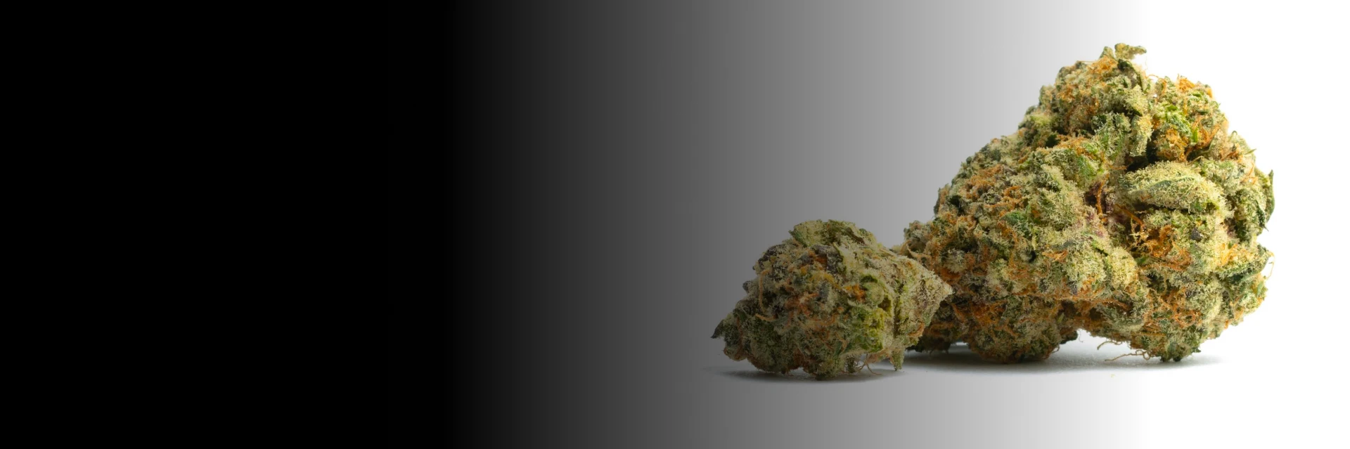 THCa Cannabis Flower Kansas City