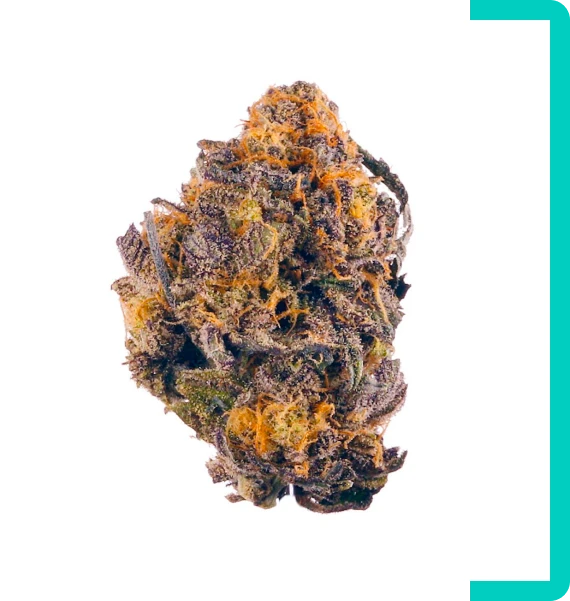 Find The Right Strain For Your Vibe