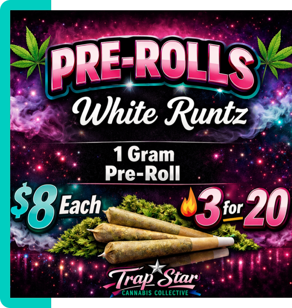 Classic Pre-Rolls For Everyday Sessions