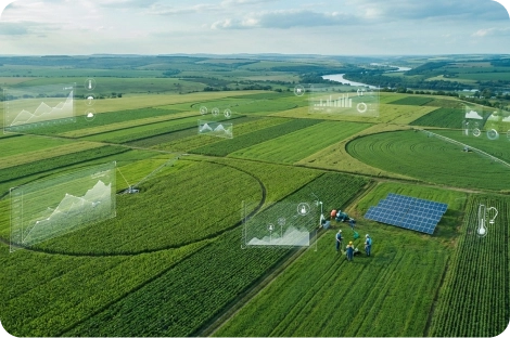 MEK Agribusiness Inc.