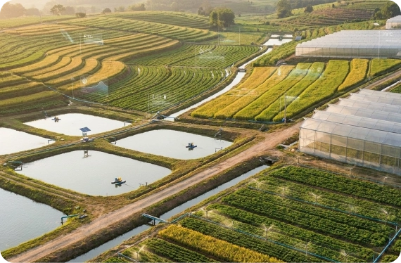Climate-Smart Agriculture Systems