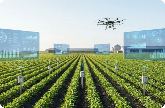 Digital Agriculture and Traceability