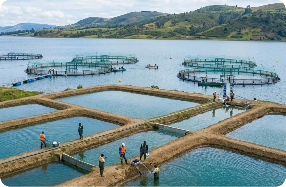 Integrated Aquaculture Development