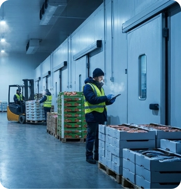 Cold Chain and Logistics
