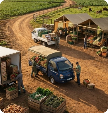 Food Security and Nutrition Programmes