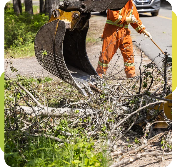 Storm Debris and Seasonal Cleanup