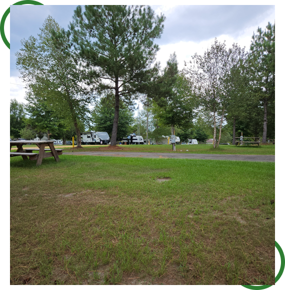 Spacious RV park in Dothan, Alabama, with trees and open lots