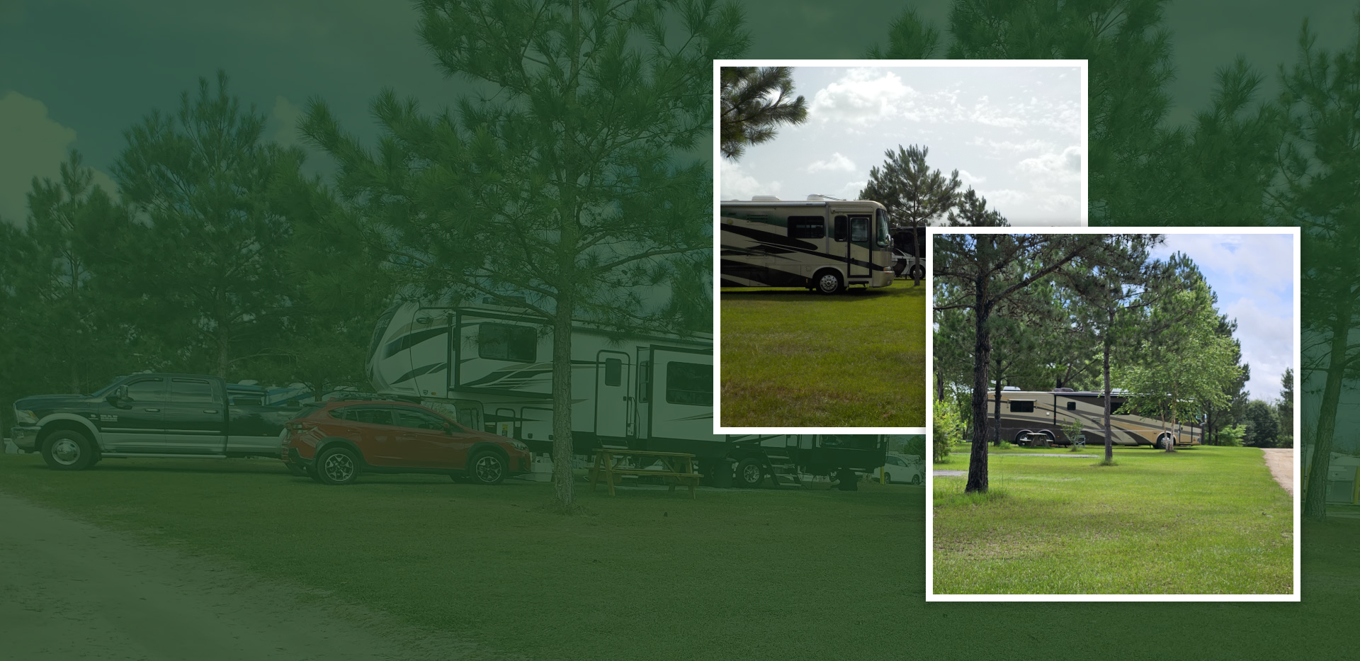 Shaded RV sites at a peaceful RV park in Dothan, Alabama