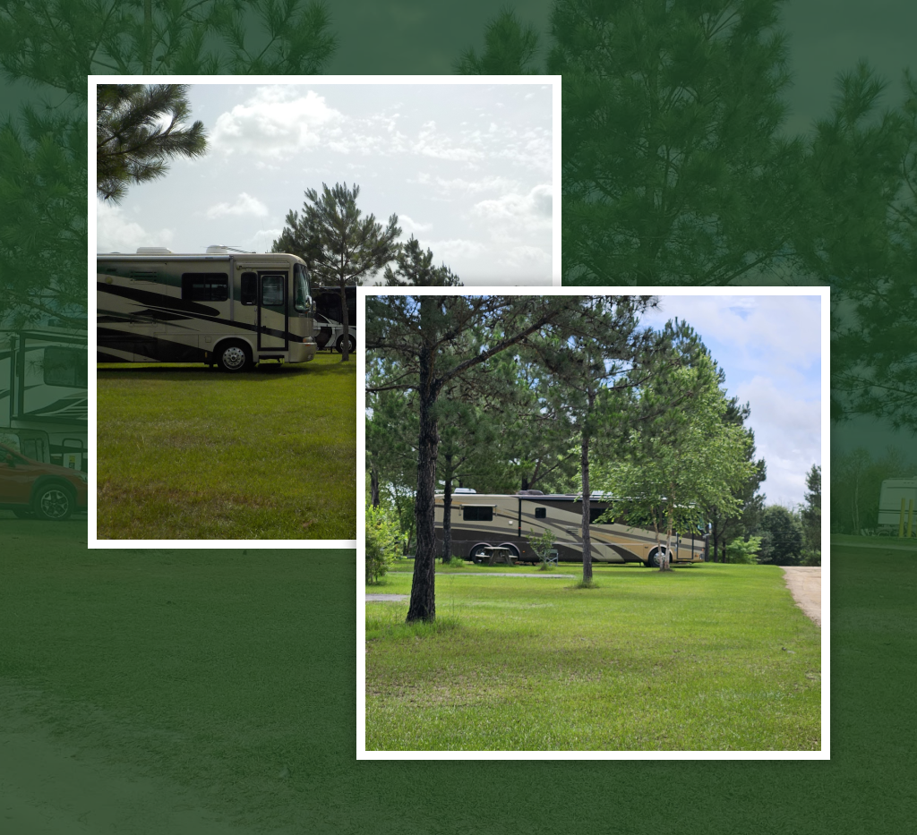 Shaded RV sites at a peaceful RV park in Dothan, Alabama