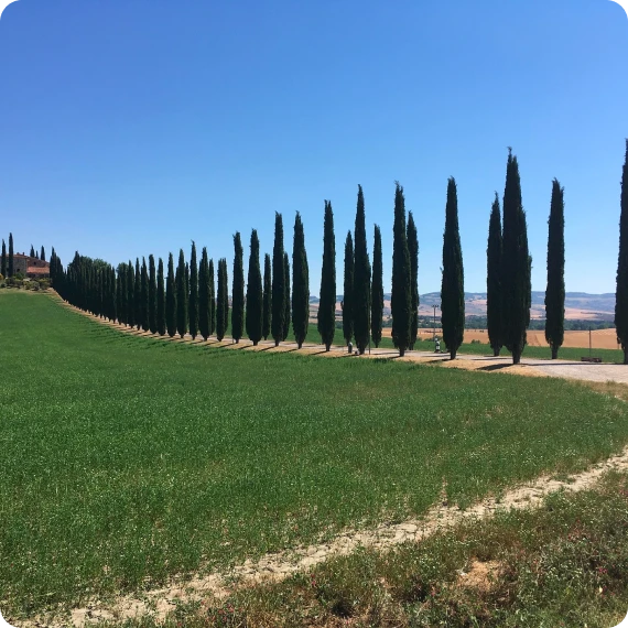 Scenic Regional Explorations