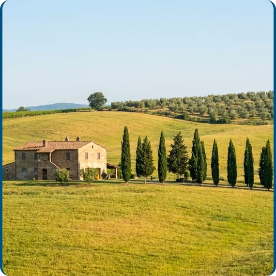 Food and Wine Group Experiences