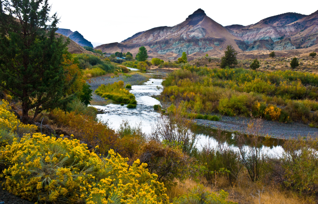 Visitors exploring sightseeing spots in John Day near river
