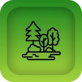 Landscaping Services