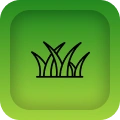 Lawn Maintenance