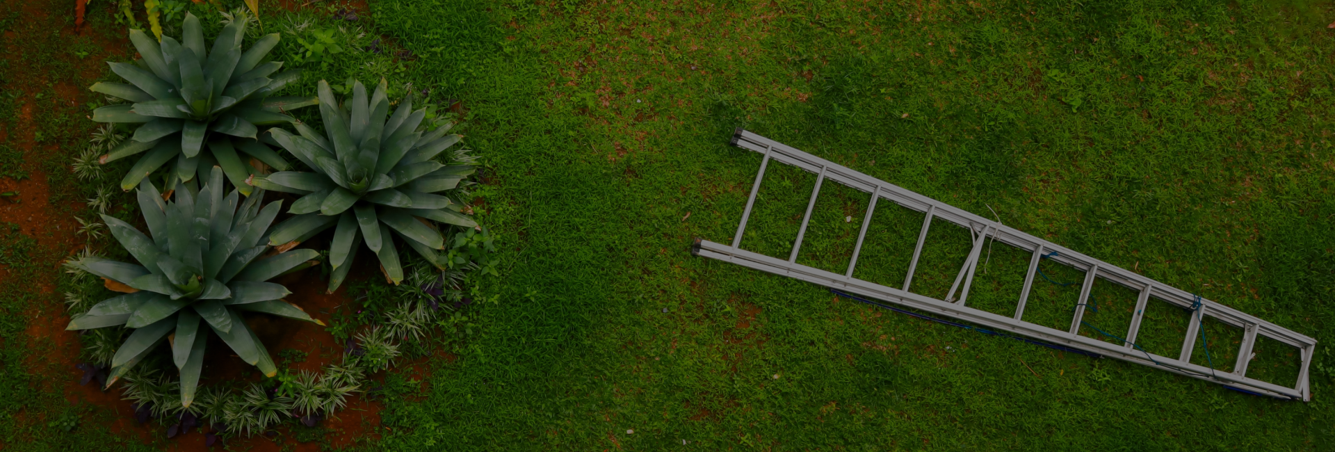 Logan's Property Services Outdoor Space Services FAQ Guide