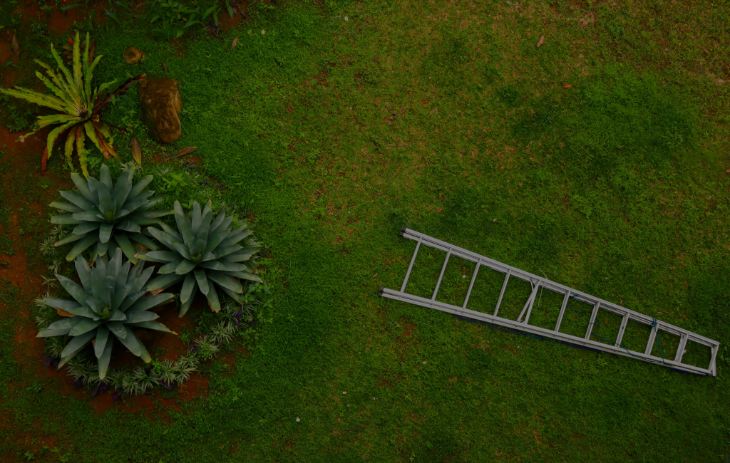 Logan's Property Services Outdoor Space Services FAQ Guide