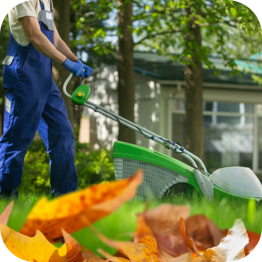 Landscaping Services