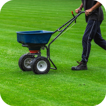 Lawn Maintenance