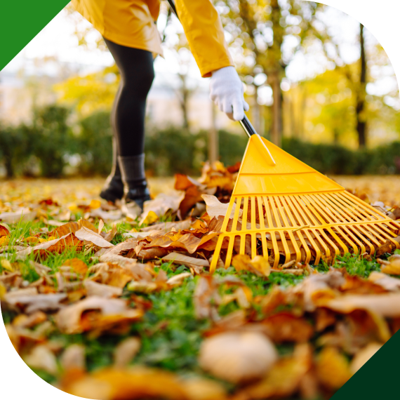 Spring Property Rejuvenation