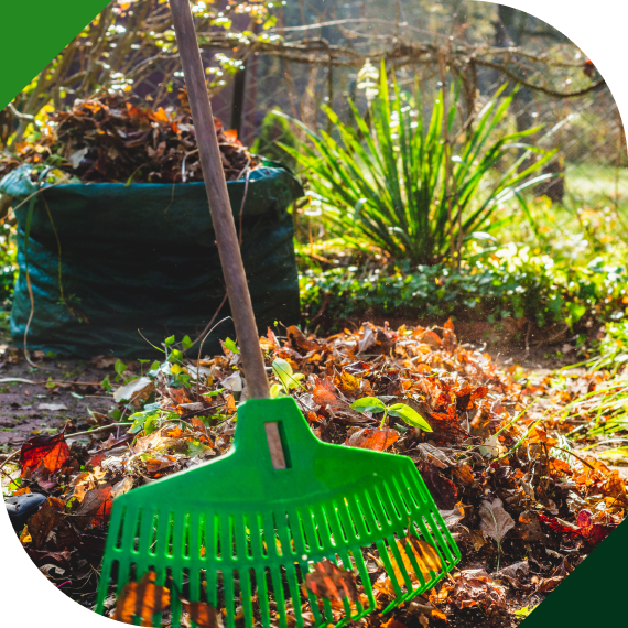 Routine Grounds Care and Landscape Upkeep
