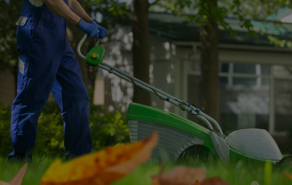 Landscaping Services