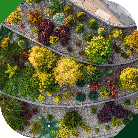 Lawn Maintenance and Scheduled Mowing