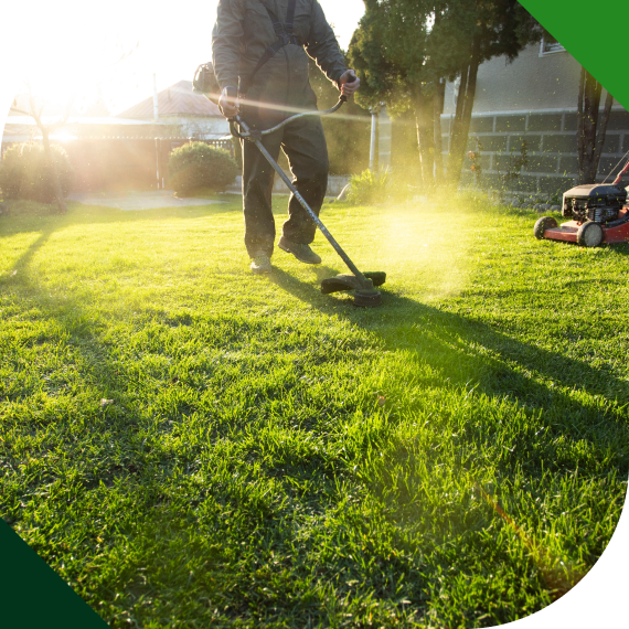 Yard Leveling and Site Grading Solutions