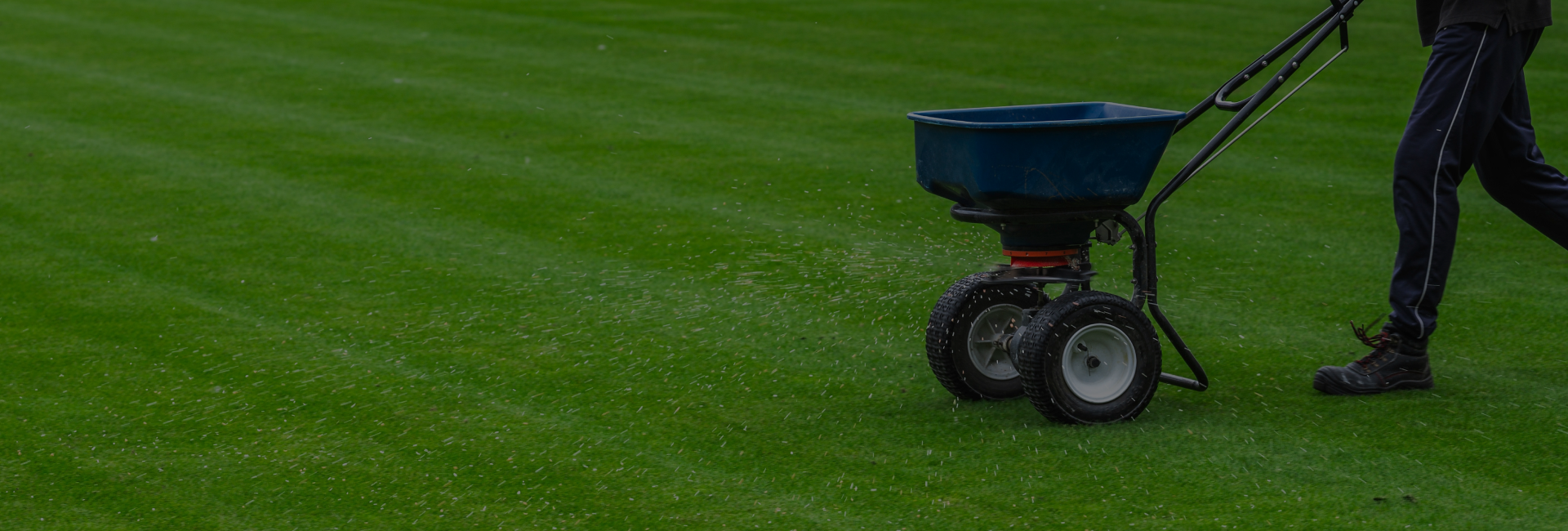 Lawn Maintenance Services