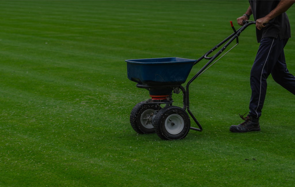 Lawn Maintenance Services