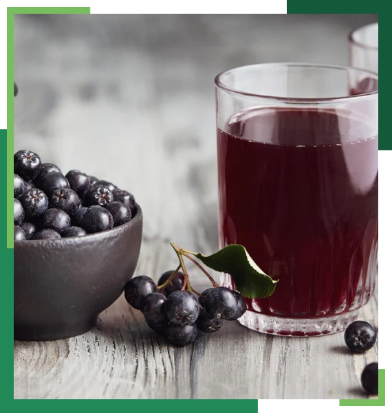 Aronia Extract and Supplement Integration