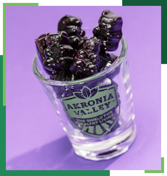 Potency-Verified Aronia Berry Gummies