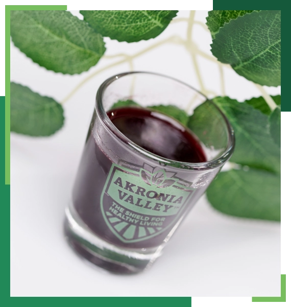 Detailed Antioxidant Assessment