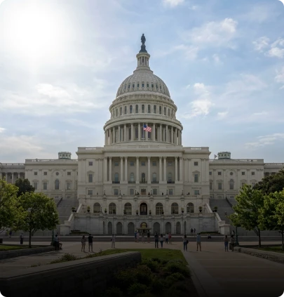 Government Security Solutions