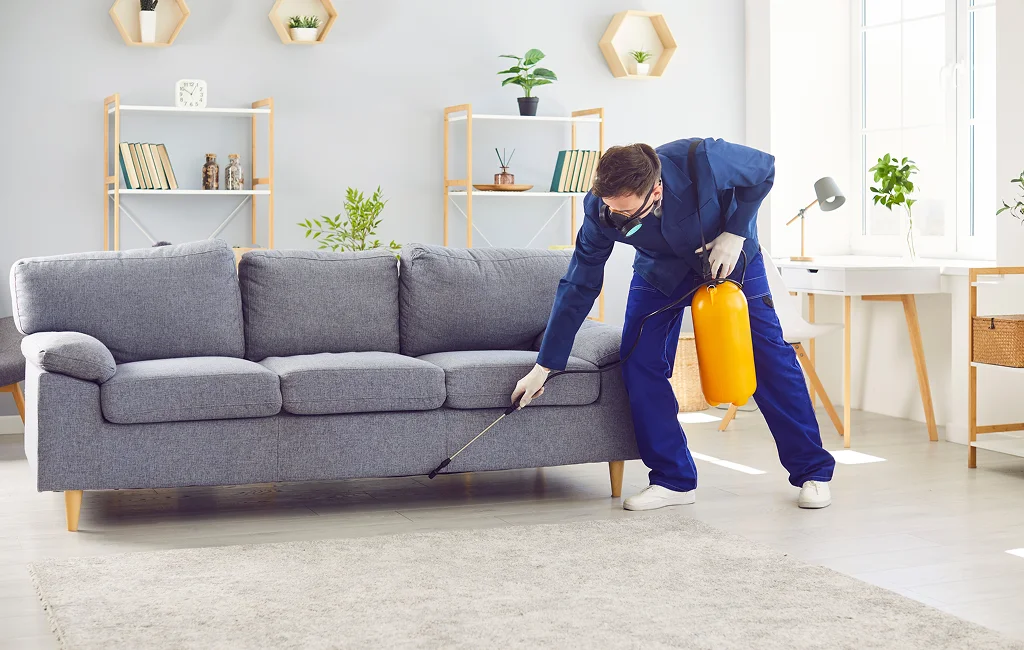 Airbnb Cleaning Services Gastonia