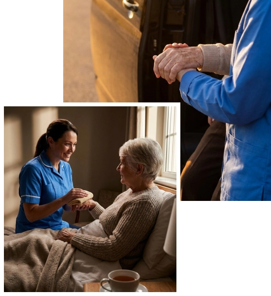 Senior enjoying companionship and daily support at home.