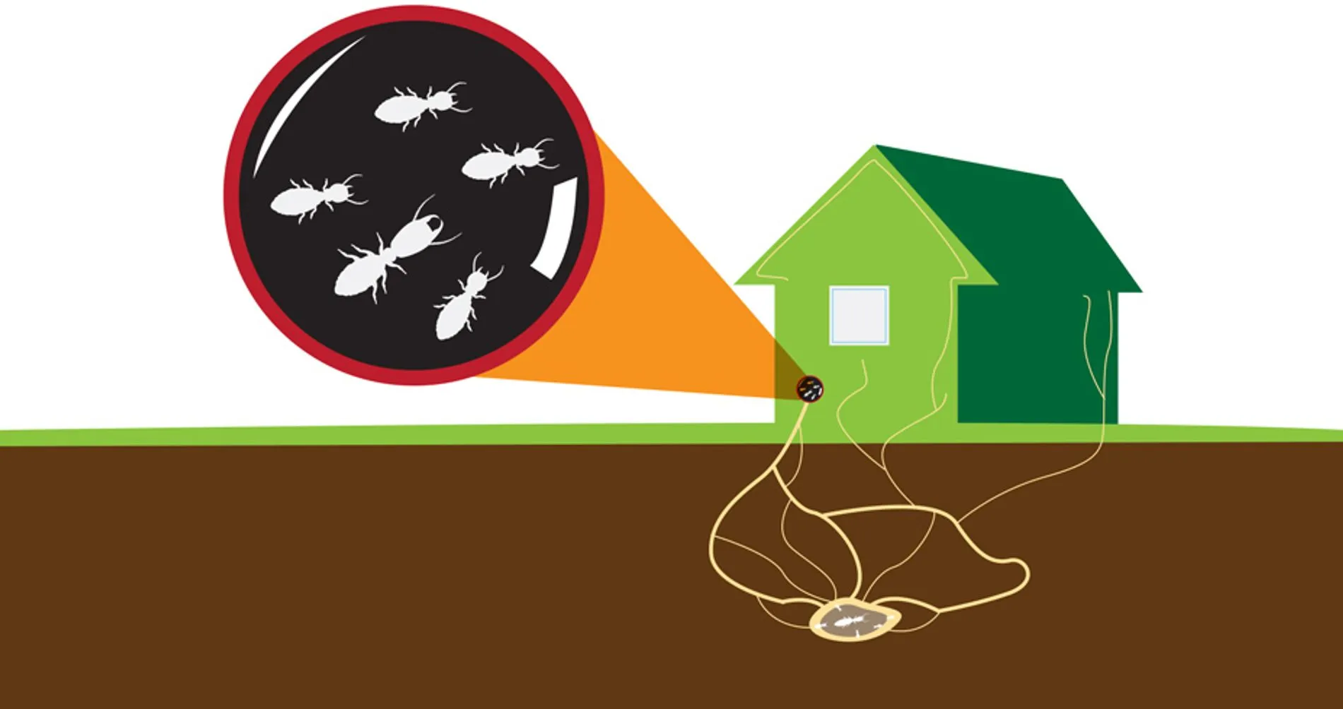 Home Inspector Maryland