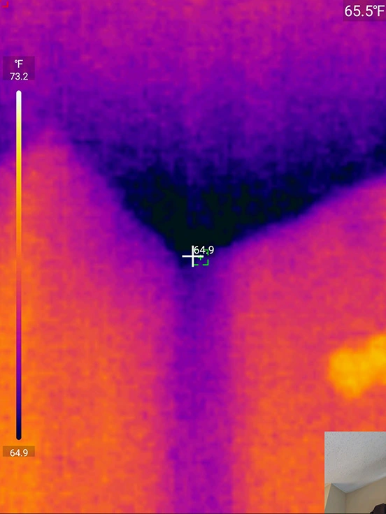 Thermal Imaging