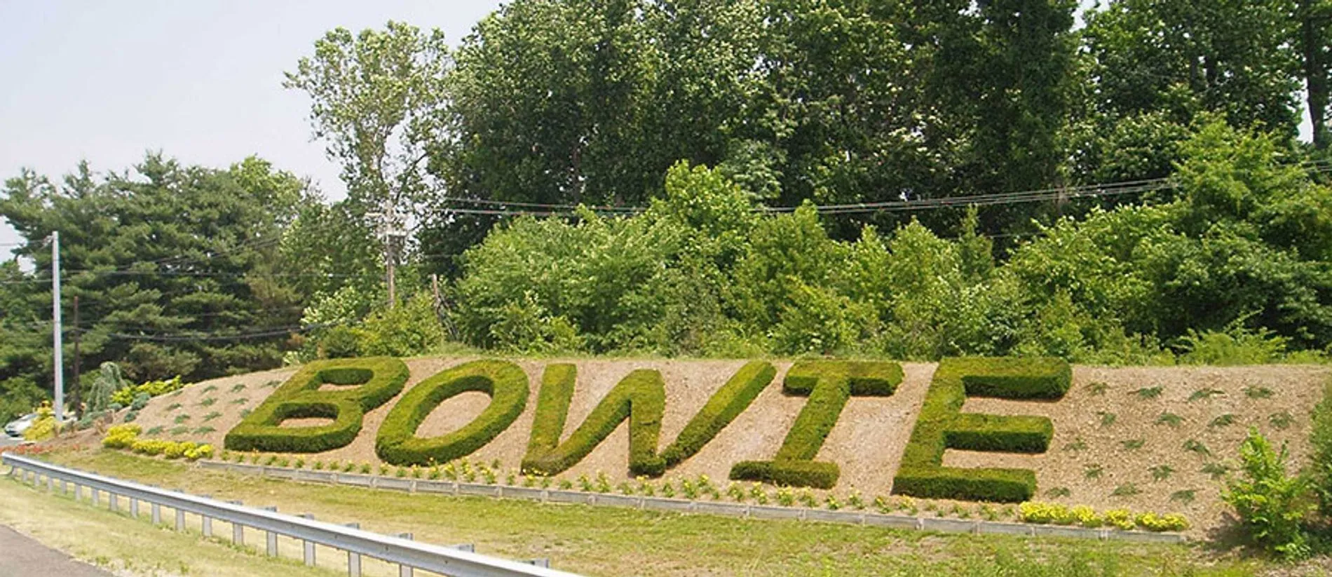Bowie