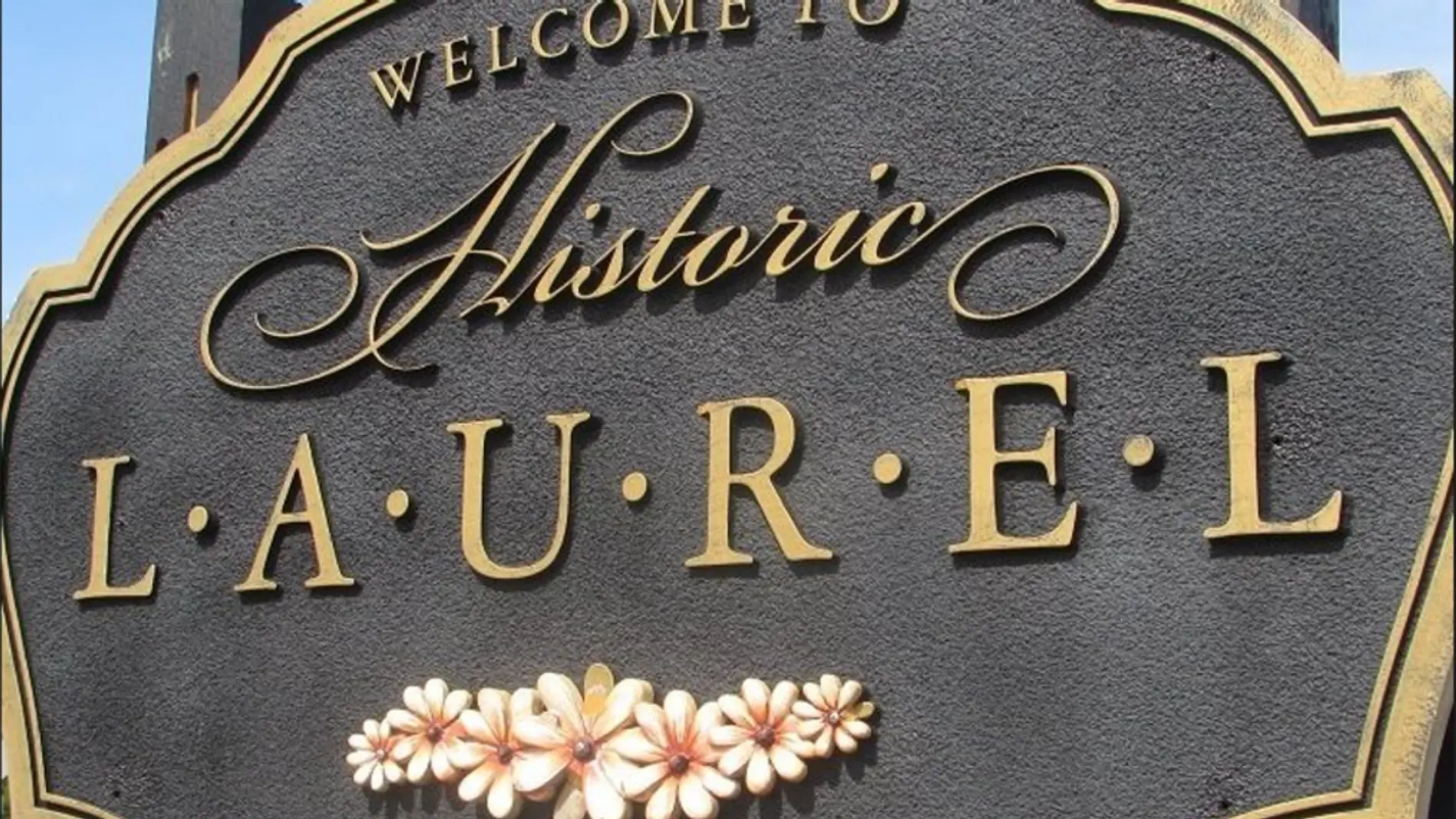 laurel