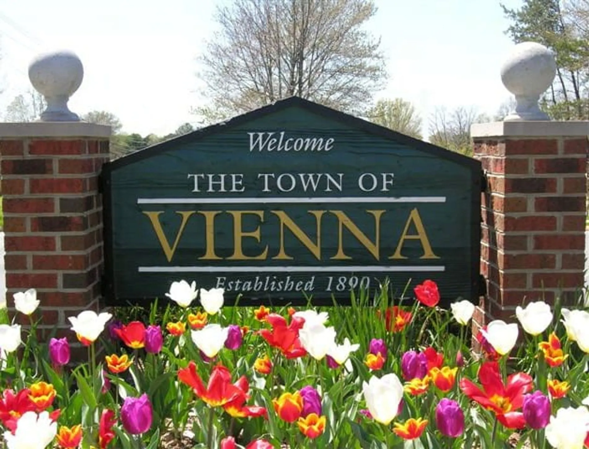 vienna